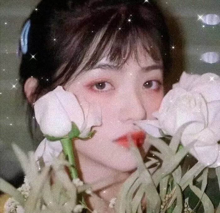 真爱至上国语